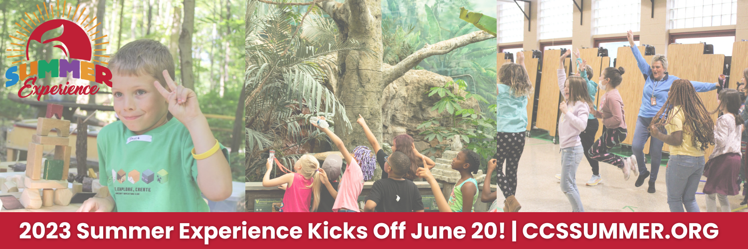 Summer Experience Web Banner - June 20